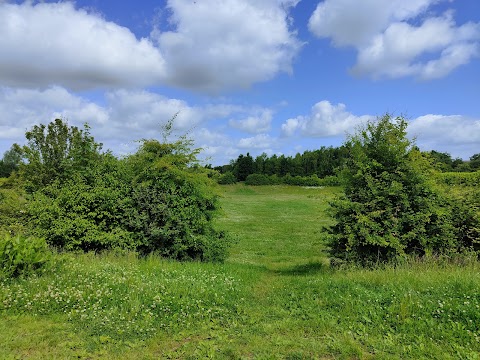 Lakeside Country Park