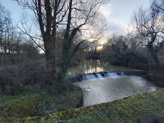 Bewbush Water Gardens