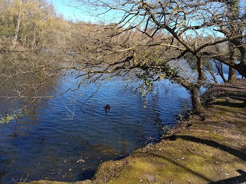 Hilton Gravel Pits Local Nature Reserve