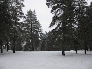 Басівський парк