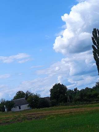 Королевская Гавань