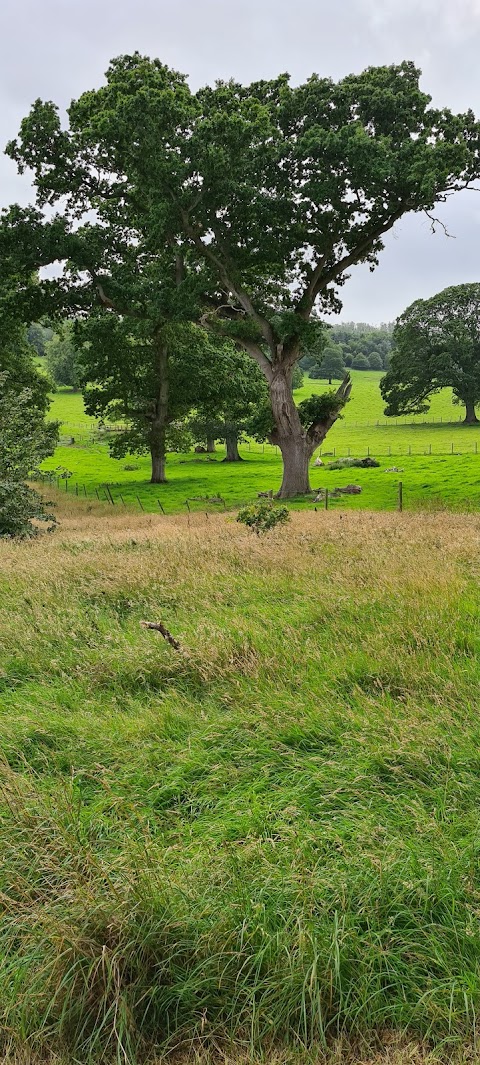 Audley's Castle