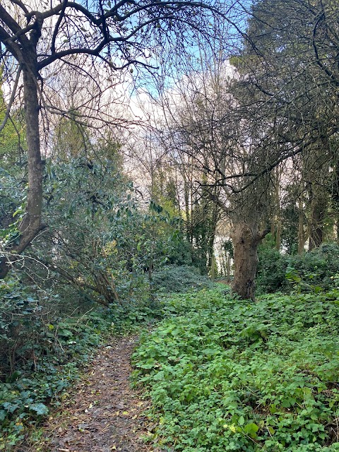 Elwell Woods