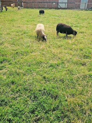 Southampton City Farm