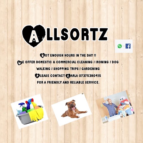 Allsortz professional cleaning services