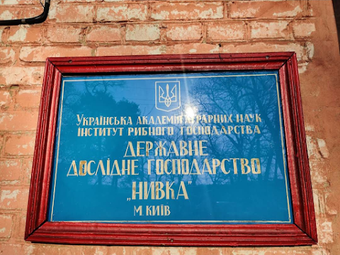 Риборозплідне господарство «Нивка» УкрНДІ