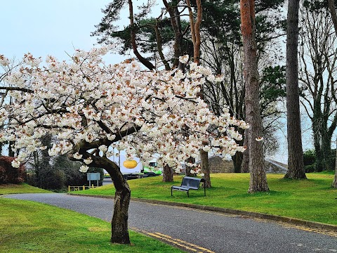 Jordanstown- Dalriada Student Village