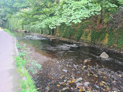 Water of Leith Weir