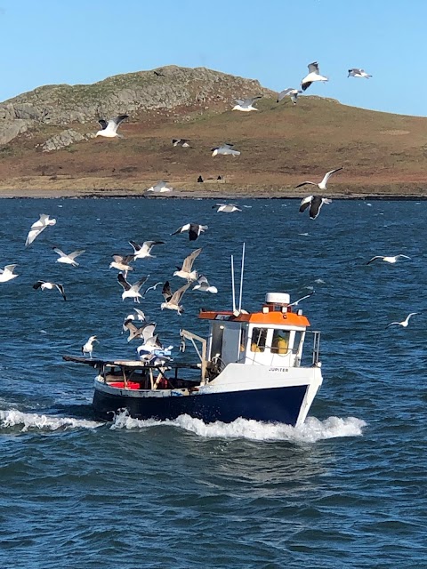 Hidden Howth Experiences