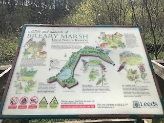 Breary Marsh