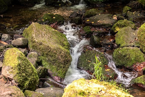 Hermitage of Braid