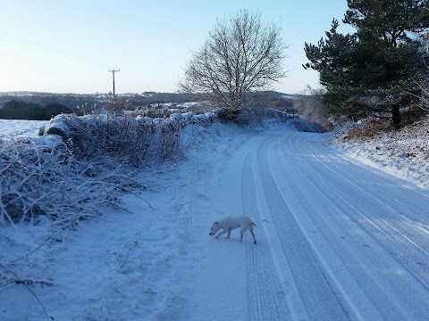 Barks Self-catering Holiday Cottage