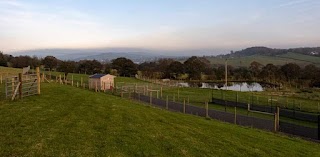 Stainthwaite Boarding Kennels