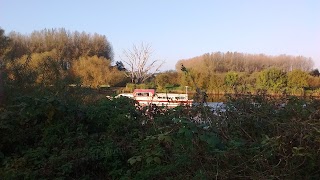 RSPB Surlingham Church Marsh