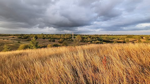 Countess of Chester Country Park