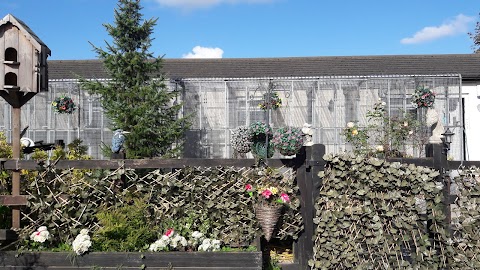 Moss Hall Farm Cattery