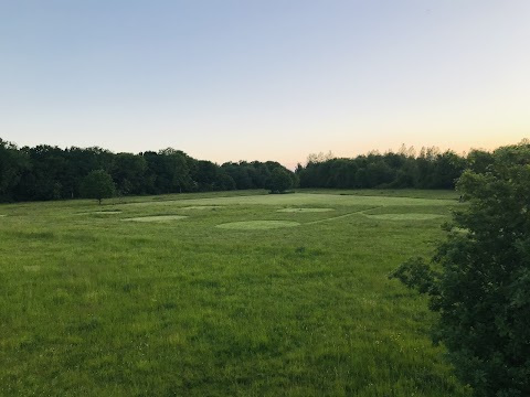 The Little Wild Wellie Campsite