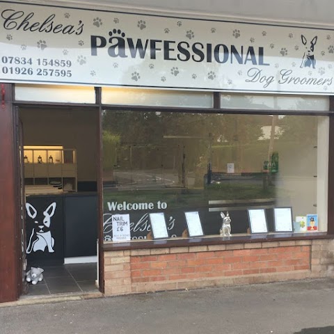 Chelsea's Pawfessional Dog Groomers