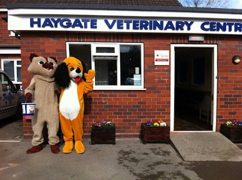 Haygate Veterinary Centre - Wellington