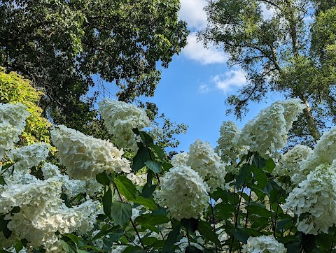 The Valley Gardens