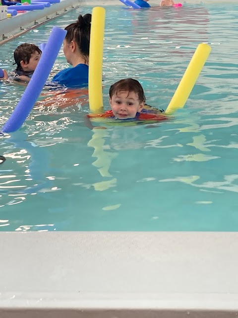 Daddy Shark Swim School