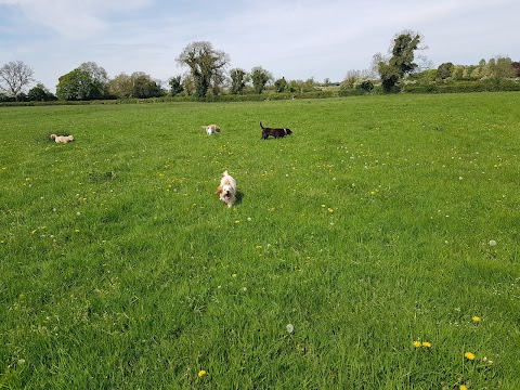 Vesington Boarding Kennels