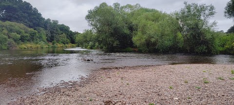 Shingle bank at low water