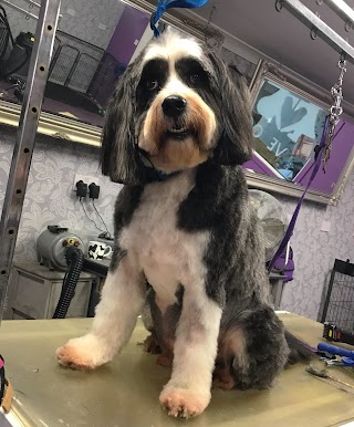 Woofs-A-Daisy dog grooming