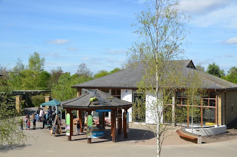 WWT London Wetland Centre