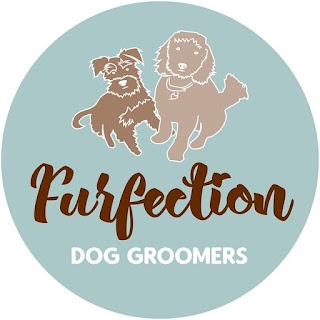 Furfection Dog Grooming