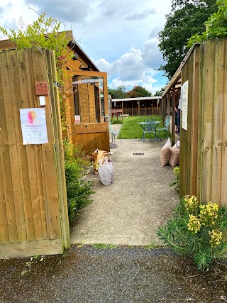 Leafy Oak Farm Cattery