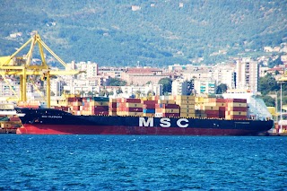 Mediterranean Shipping UK Ltd Co (MSC) London office