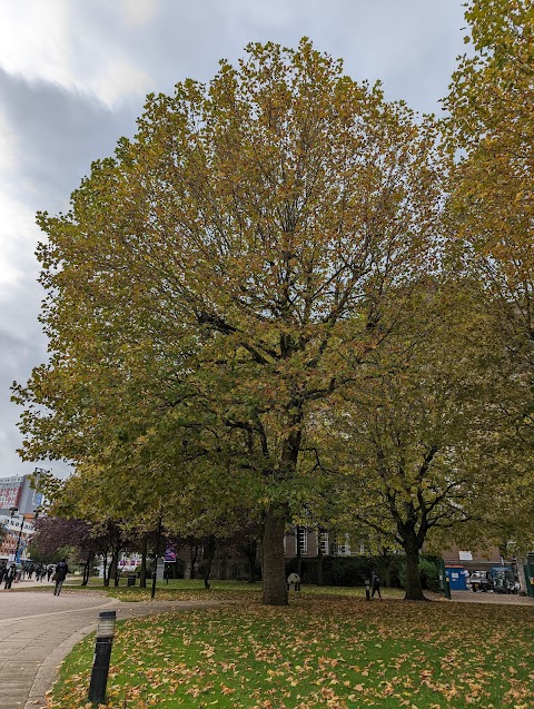 Aston University Sports Centre