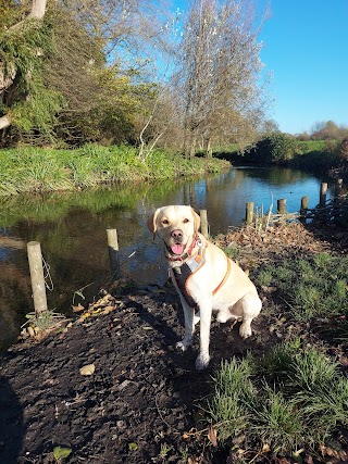 Milly’s Muddy Mutts