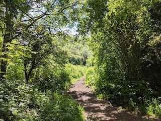 Howardian Local Nature Reserve