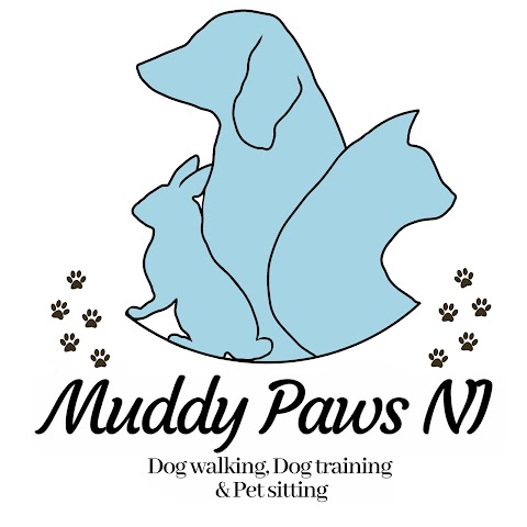 Belfast Dog Walking and Pet Services