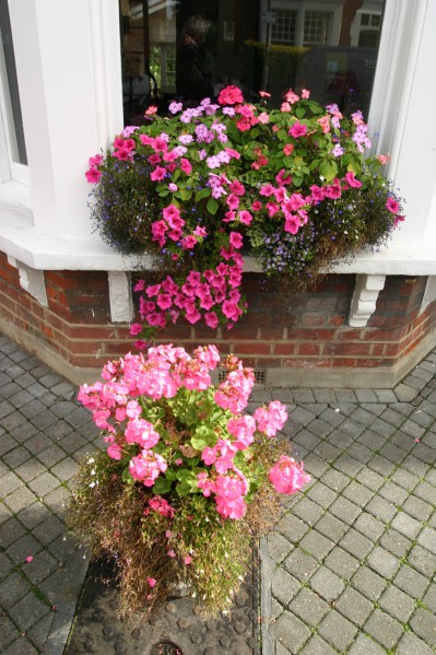 One Fanthorpe Street, Bed and Breakfast Putney