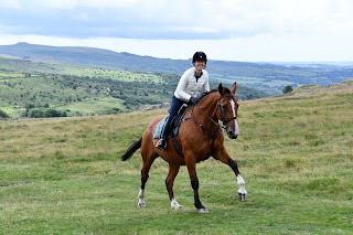 Liberty Trails - High End Horse Riding Holidays in England's Finest Countryside