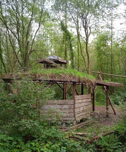 Mynydd Mawr Woodland Park