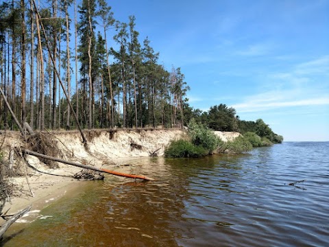 Дачний кооператив Ясногородка-1