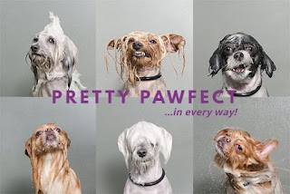 Pretty Pawfect Dog Grooming Salon