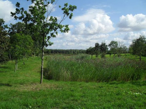 Tove Valley Cottages