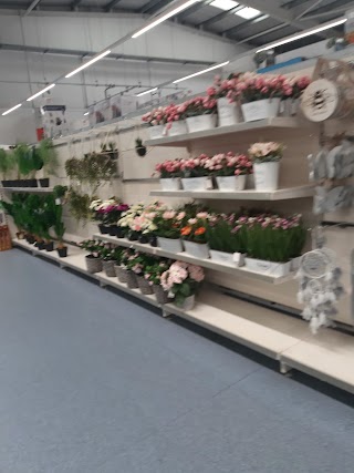 B&M Home Store