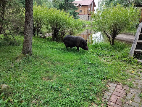 Колиба "Ведмідь"