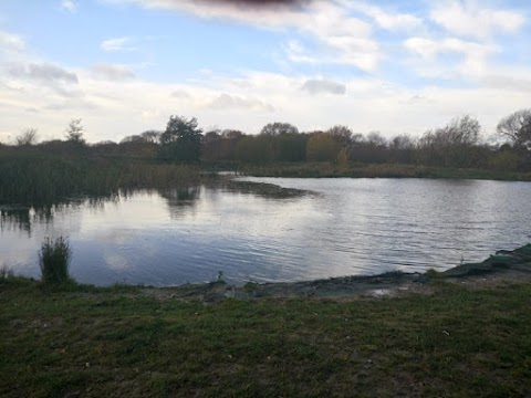 Collier Pool