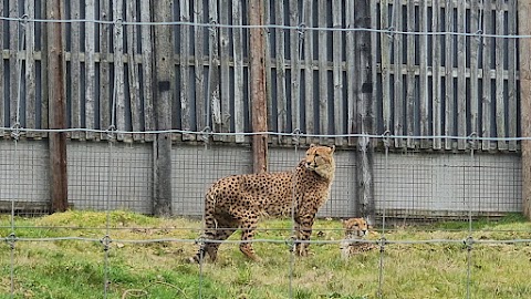 West Midland Safari Park