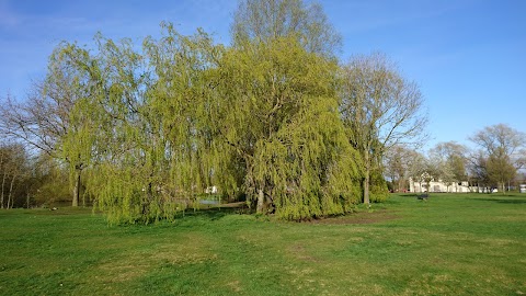 Pelsall Common