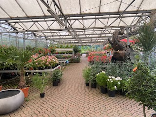 Walkers Nurseries & Garden Centre