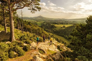 Day Tours of Wicklow