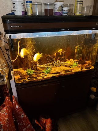 Bootle Pets And Aquatics